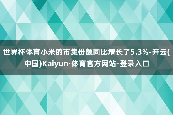 世界杯体育小米的市集份额同比增长了5.3%-开云(中国)Kaiyun·体育官方网站-登录入口