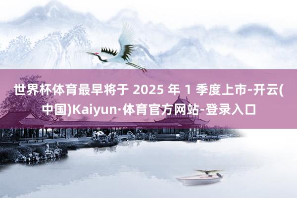 世界杯体育最早将于 2025 年 1 季度上市-开云(中国)Kaiyun·体育官方网站-登录入口