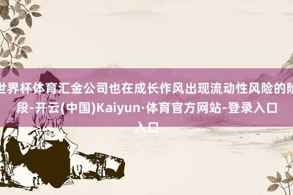 世界杯体育汇金公司也在成长作风出现流动性风险的阶段-开云(中国)Kaiyun·体育官方网站-登录入口