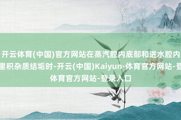 开云体育(中国)官方网站在蒸汽腔内底部和进水腔内底部千里积杂质结垢时-开云(中国)Kaiyun·体育官方网站-登录入口