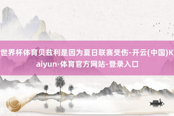 世界杯体育贝兹利是因为夏日联赛受伤-开云(中国)Kaiyun·体育官方网站-登录入口