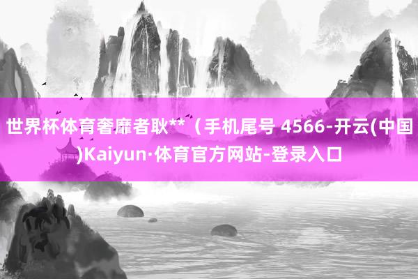 世界杯体育奢靡者耿**（手机尾号 4566-开云(中国)Kaiyun·体育官方网站-登录入口