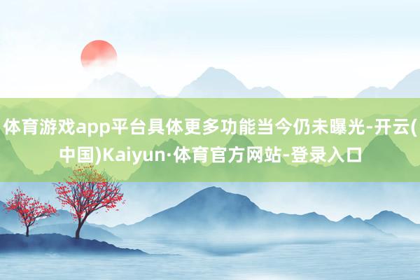 体育游戏app平台具体更多功能当今仍未曝光-开云(中国)Kaiyun·体育官方网站-登录入口